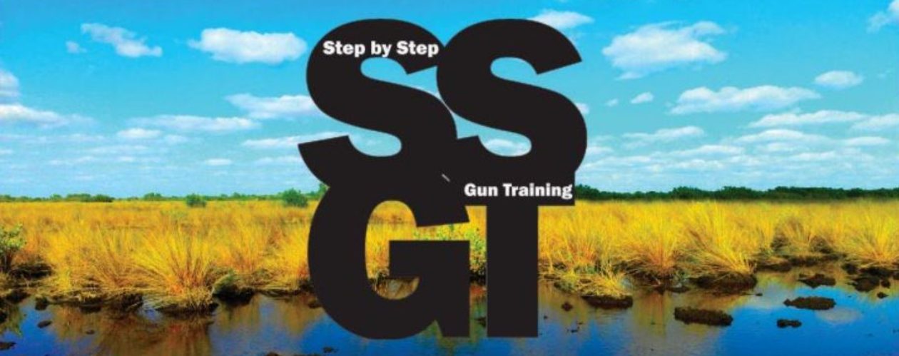Step by Step Gun Training